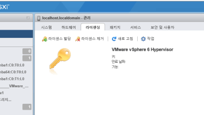 VMware vSphere 6 Hypervisor esxi 라이센스 할당 입력하기