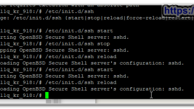 데비안 Debian Chroot on Synology NAS dsm 6.2.1