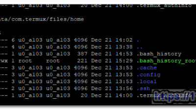 termux활용4)리눅스 history 명령 날짜 및 시간 표시하기(view date and time in history command)