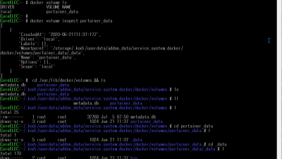 CoreELEC (official): 9.2.3 docker volume inspect portainer_data
