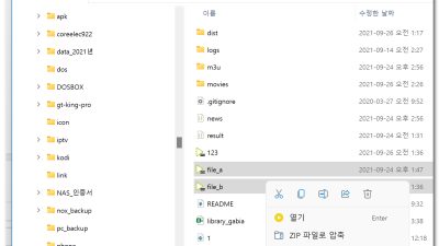 ● 윈도우 파일탐색기에서 파일이름 한꺼번에 일괄 이름 추가 변경 방법