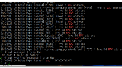 ● redpill boot loader dsm7.0 mac address 설정시 mac을 2개 설정시 인식못하고 1개로 설정시 접속 상태 확인