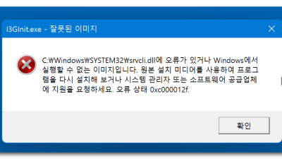 C:\Windows\system32\srvcli.dll Error