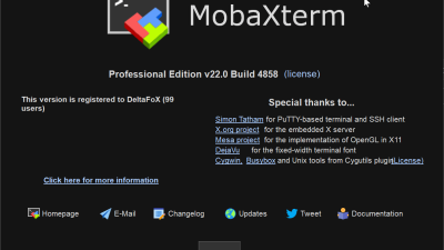 ● MobaXterm terminal 로 사용 포트 확인하기