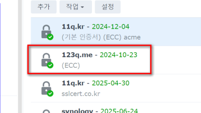 ● 시놀로지 인증서 acme.sh  DNS 방식(자동갱신 X) 생성 자동 생성 안되는 문제 대응